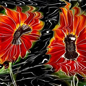 non giudicate la diversita...