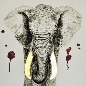 Elephant’s blood