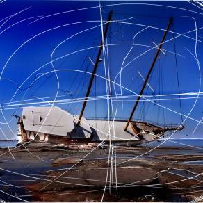 arenata colpita imprigionata.