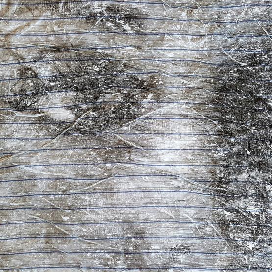 Woman in shirt (n.390)