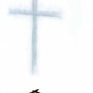 Ecclesia. Suggestioni dalle chiese reggiane