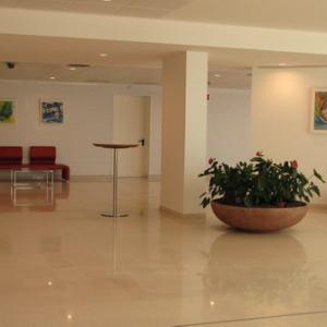 Exhibition by Manuela Nicolini