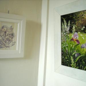 Altra Natura a Revere (mn)