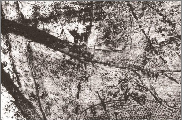 PERMANENZA DEL SEGNO Incisione Italiana Contemporanea