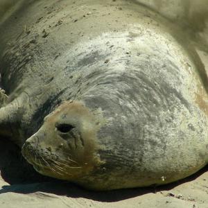 Argentina. Patagonia