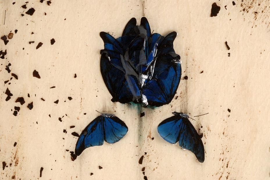 MOYA - Museum of Young Artist MOYA - Museum of Young Artist