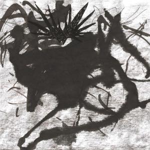 Colors, Materials, Signs