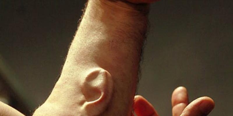 EX CORPORE di Kyrahm al Museo Magma