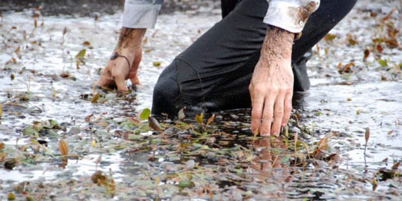 Nigel Rolfe | Dark Pool Nigel Rolfe | Dark Pool