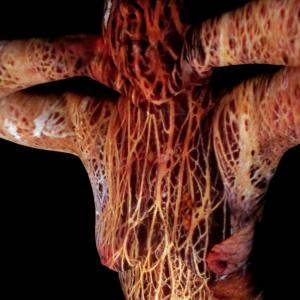 AMACI - XII GIORNATA DEL CONTEMPORANEO 