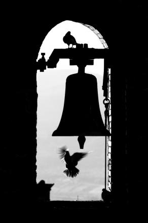 bells 'n doves bells 'n doves