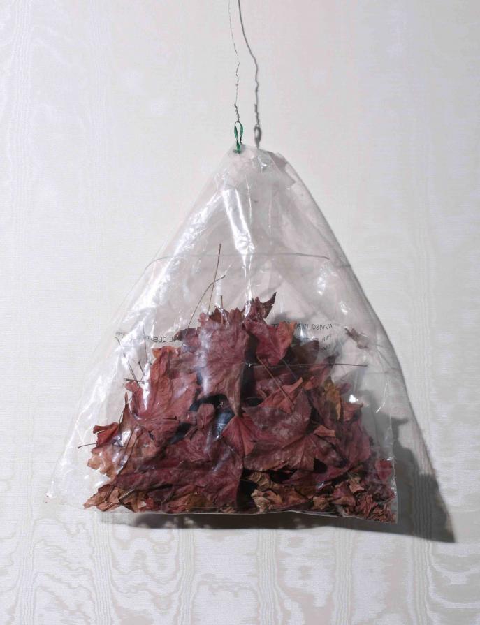 reliquari 2 reliquari 2