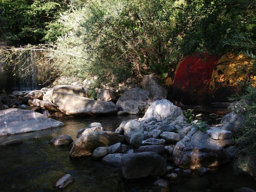 INCREDIBILE...PAZZESCO