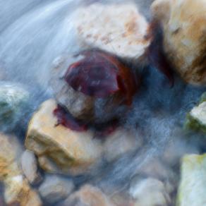 Come foglie sfuggenti #14