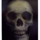 Skull (Self Portrait)