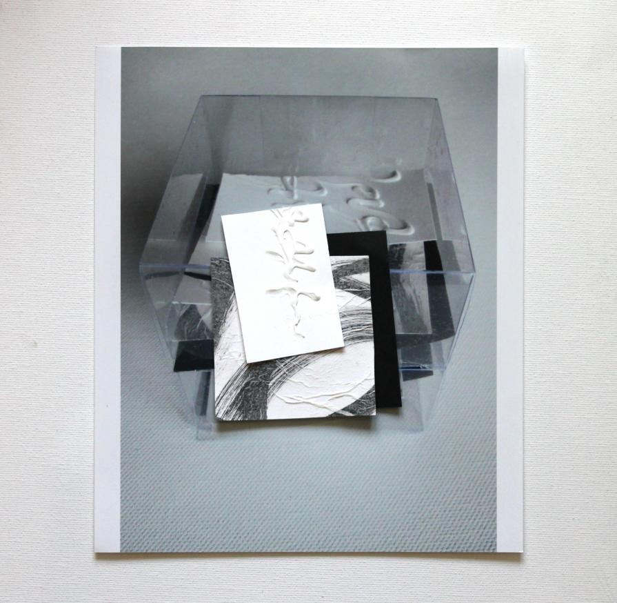 esercizi di osservazione 