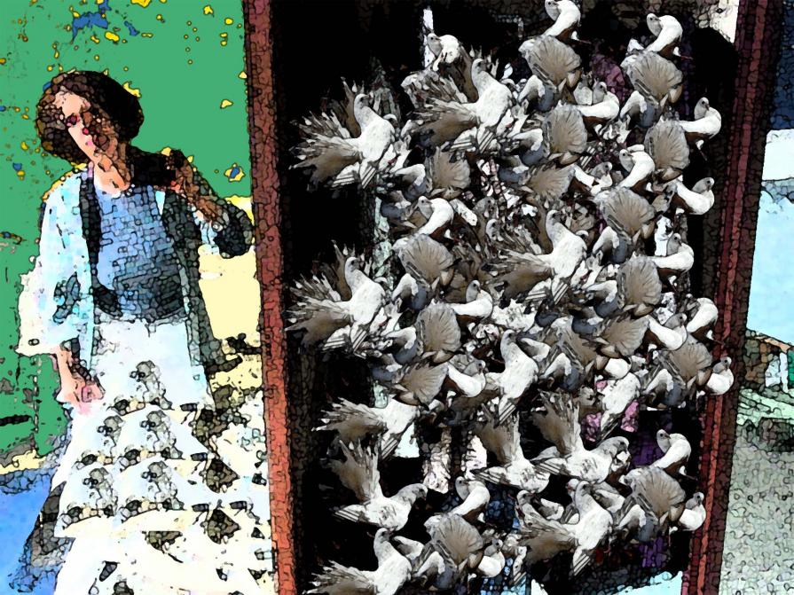 The Face, Il volto della piccionaia The Face, Il volto della piccionaia