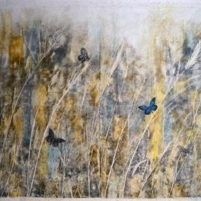 Il ritorno della farfalla blu