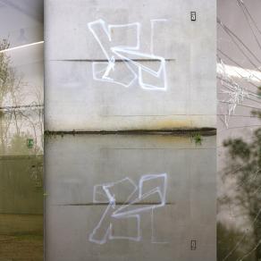 il mondo non ha ordine visibile e io ho solo l'ordine del respiro. Mi lascio accadere