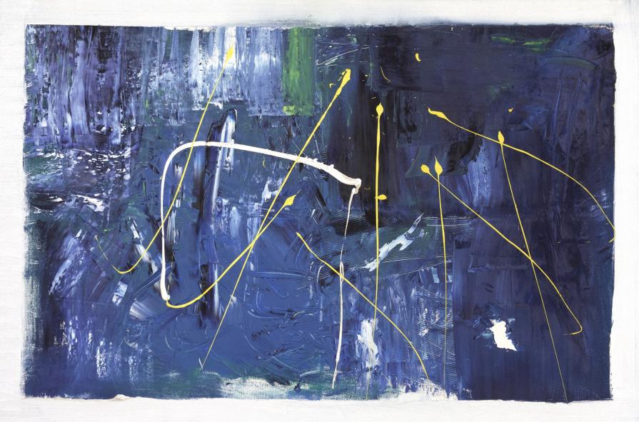 Schifano in Antartide 