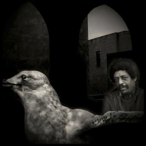 Irio De Paula / by Augusto De Luca