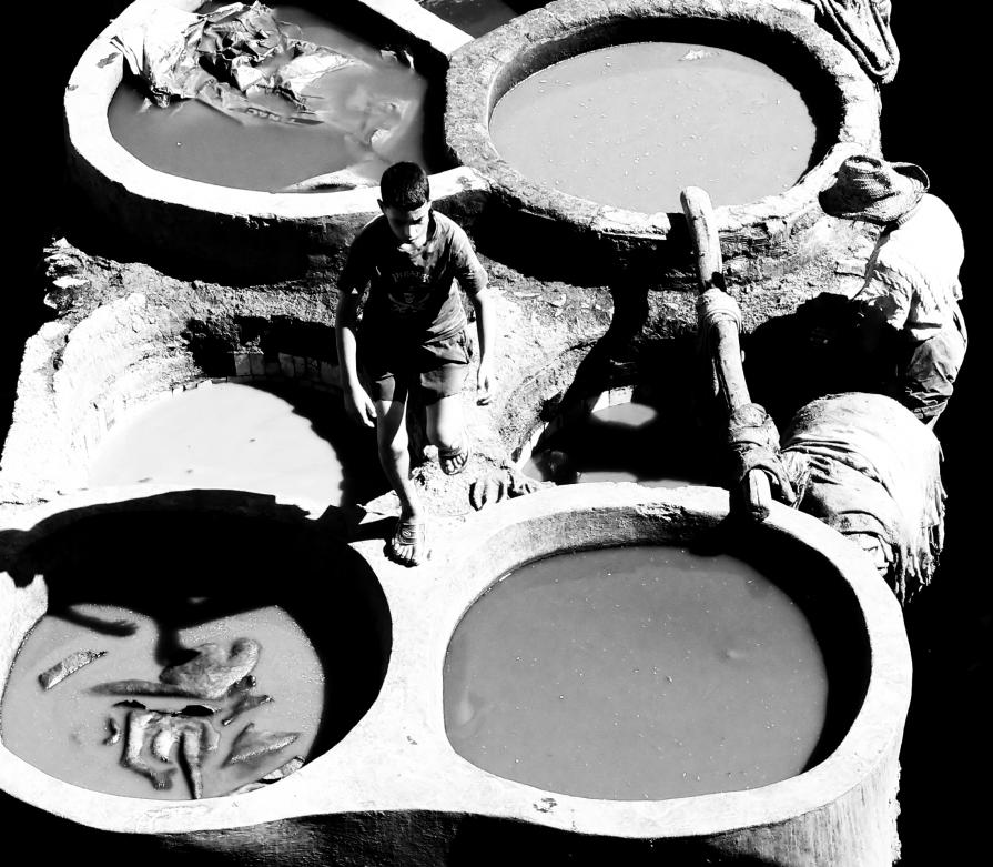 ...SCHEGGE DI OCCHIO DI RA (29)... 