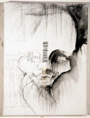 ostinatamente fragile