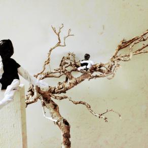 Mi nu tes ---> Nu Times