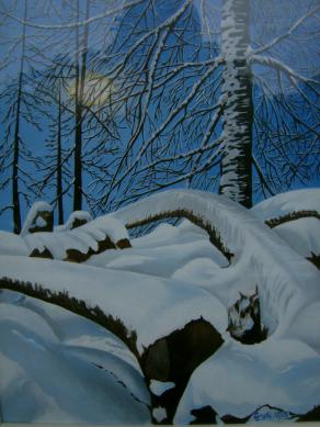 LG 0038 - Inverno in Val Varaita - Piemonte