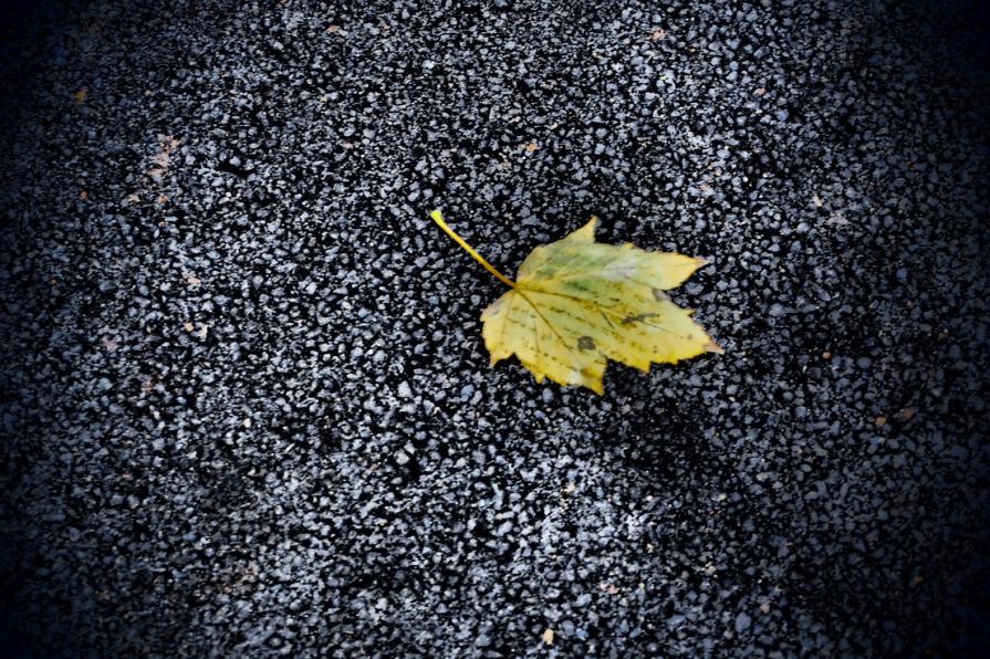 Pronta per una nuova esistenza 