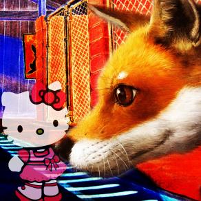 NON SI È MAI TROPPO GRANDI PER AVERE BISOGNO DI COCCOLE...!!!