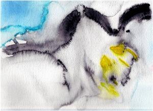 Clara Fornaro - TOUCHRUT