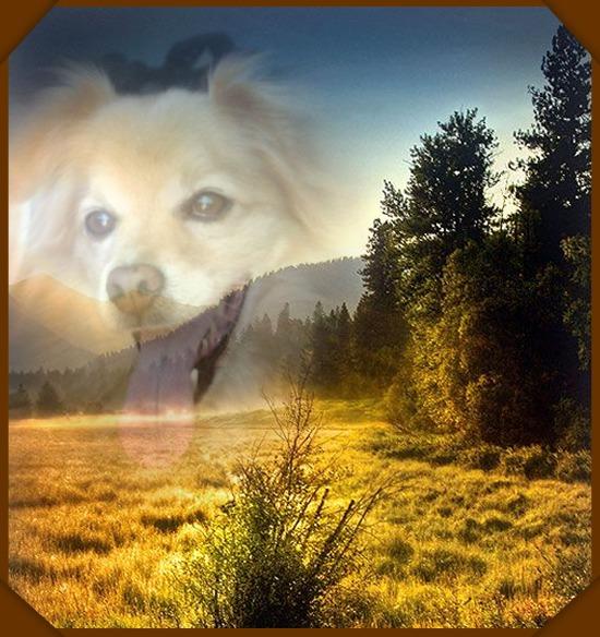 UN VERO AMICO E' CHI TI PRENDE PER LA MANO E TI TOCCA IL CUORE SEMPRE !!!!