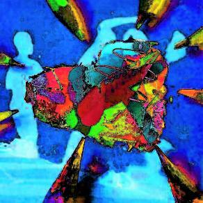 . . . E che magari parla di me. ” . . . 