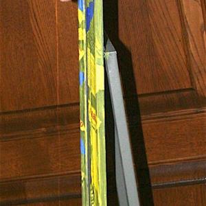 dove sta la verialtà?