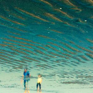 l isola dei conigli / the island of rabbits l isola dei conigli / the island of rabbits