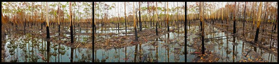 "Fire 'n' Flood" Triptych "Fire 'n' Flood" Triptych