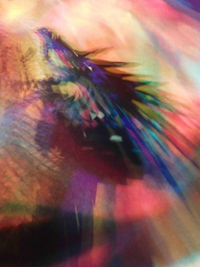  I COLORI DELLA BIODIVERSITÀ