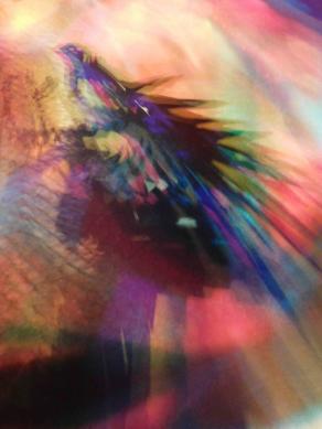  I COLORI DELLA BIODIVERSITÀ