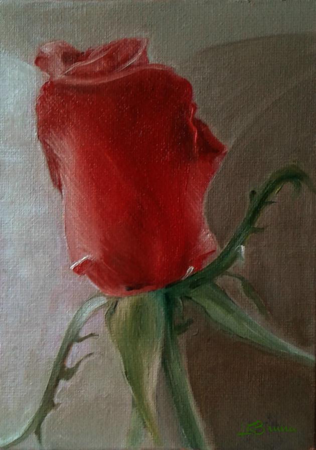 Rosa di San Valentino - IN VENDITA