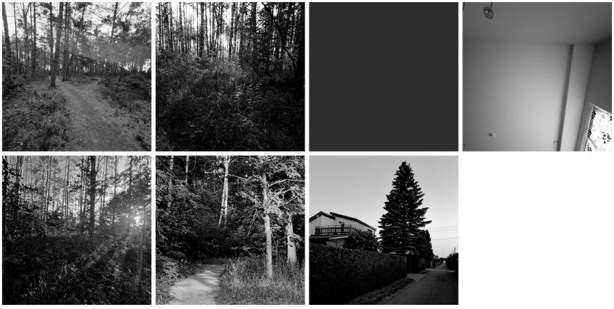 One week photos at 6:00 am