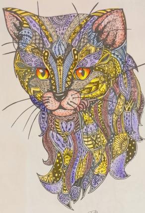 L'amicizia di un gatto...!!!