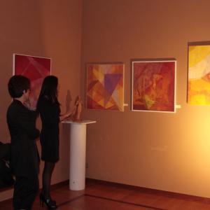 MOSTRA ALLA "MERIDIANA" DI MODENA ,22 DICEMBRE 2013-12 GENNAIO 2014.