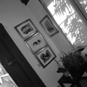 Mostra Biancoscuro Art Contest