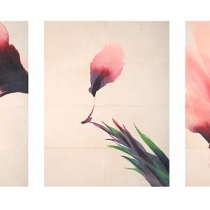 C9 | arte a corte a settembre, LAND | Emilia