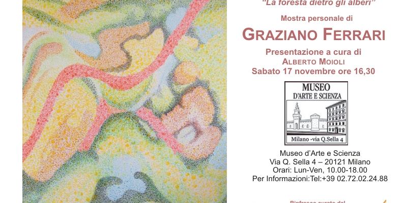 La foresta dietro gli alberi