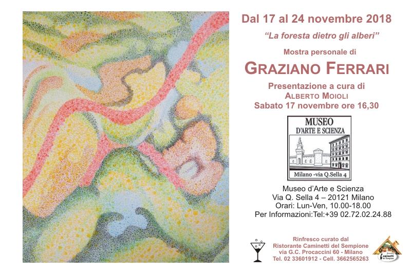 La foresta dietro gli alberi