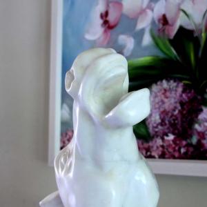 Natura:Luci e Ombre a Modena.