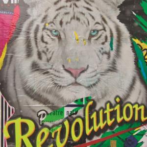 SI FA PRESTO A DIRE POP!