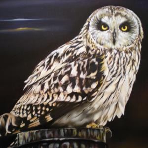 Altra Natura a Revere (mn)